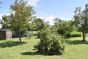 Garden - Apartment in Hippolytushoef for 2 Guest (Hippolytushoef)