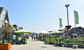 Ferienhaus | Blick von der Unterkunft