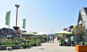 Casa | Vista desde la propiedad