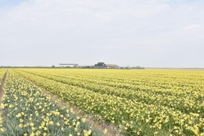 Nhà | Quang cảnh nhìn từ nơi lưu trú