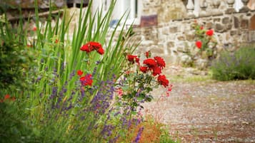 Nhà | Chi tiết nội thất