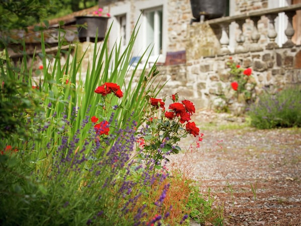 House | Interior detail - Accessible Stay in Nature (Tenneville)
