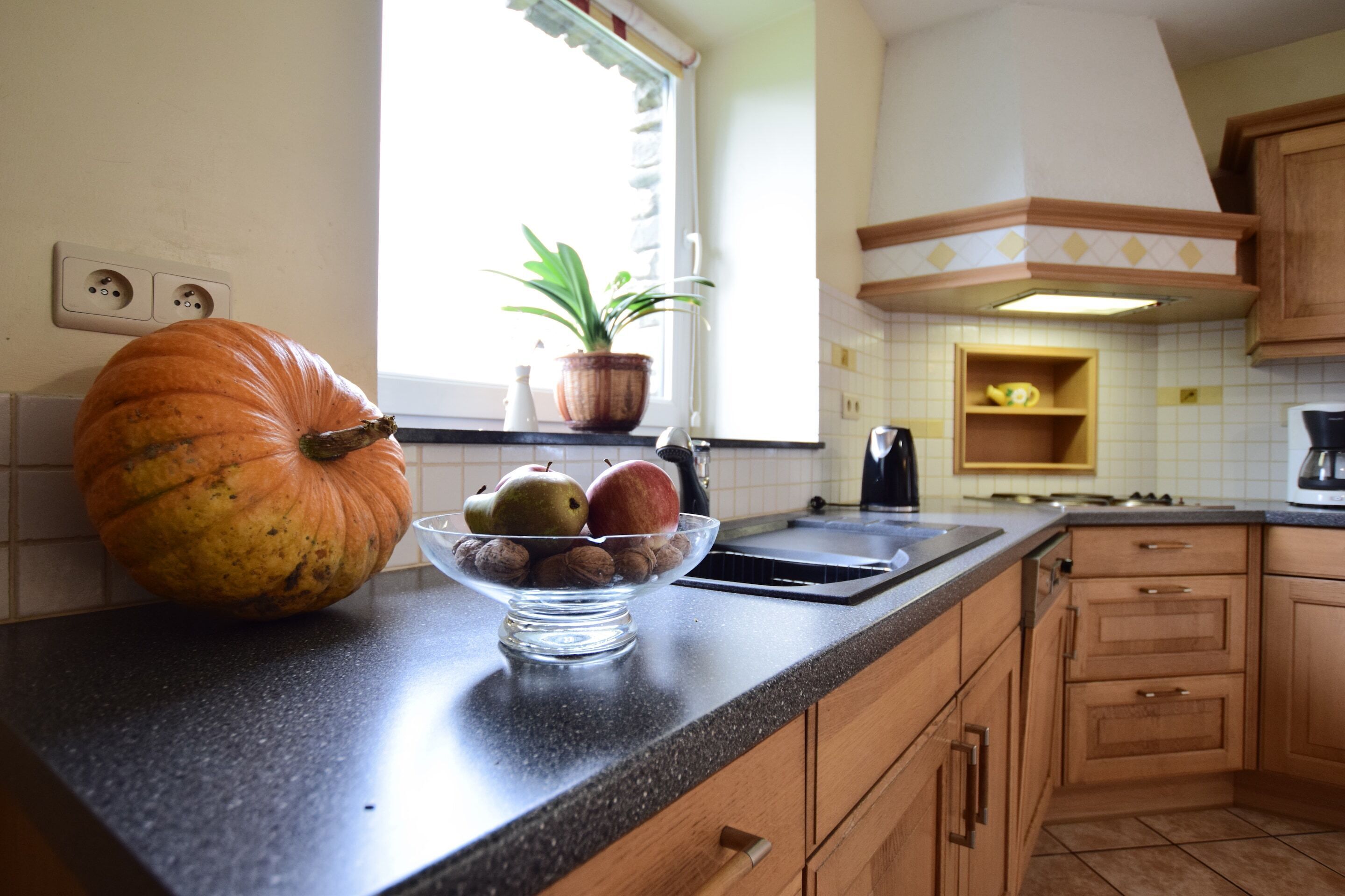 A kitchen with a large pumpkin, a bowl of fruits, and a potted plant on the counter.