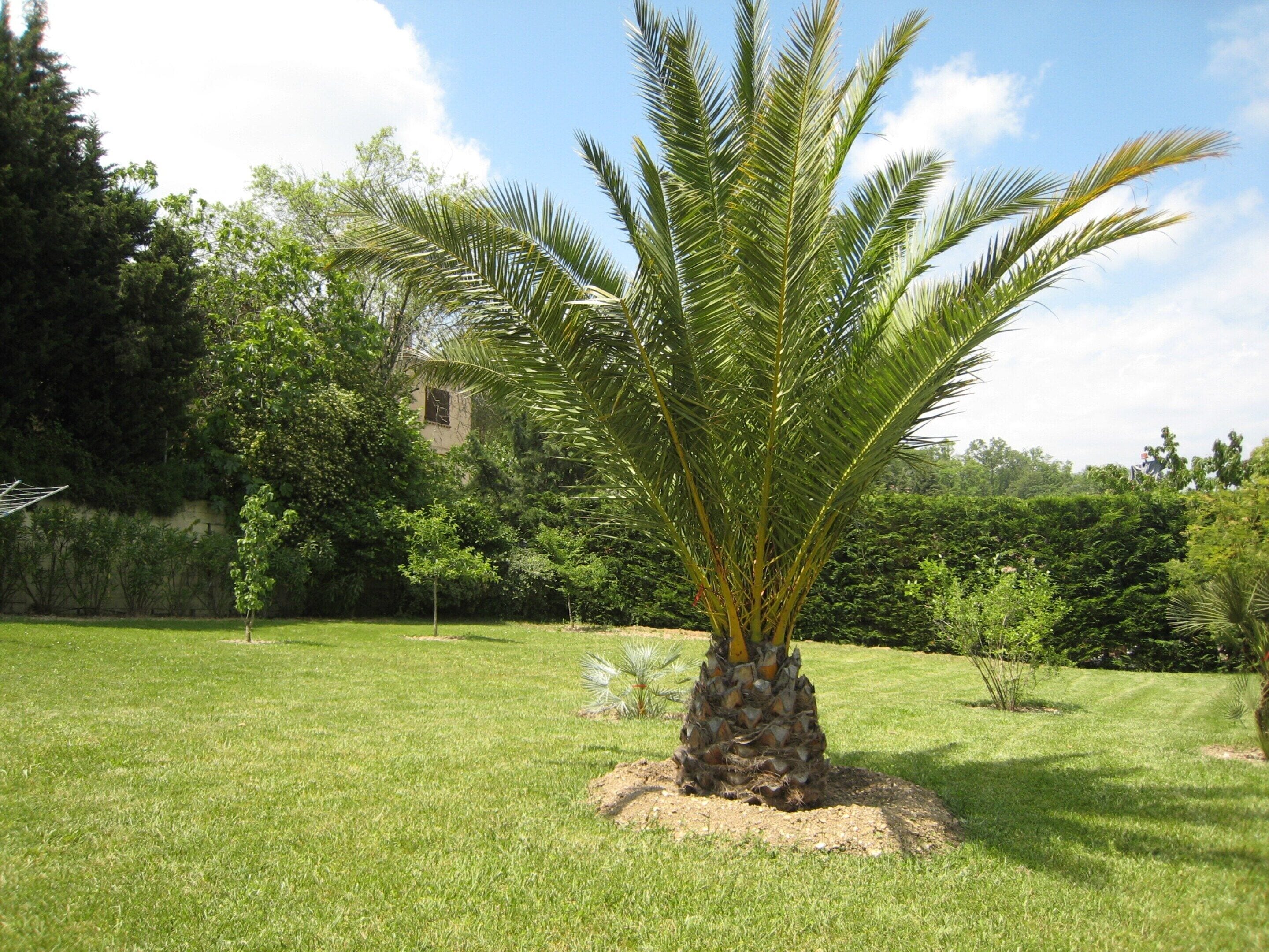Jardín