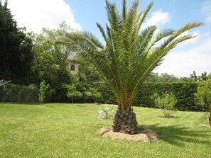Villa | Garden - Villa in Provence With Pool and Garden (Saint-Paul-en-Foret)