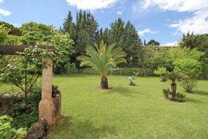 A grassy garden with various plants and trees. - Villa in Provence With Pool and Garden (Saint-Paul-en-Foret)