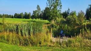 Un ambiente esterno tranquillo con un prato, una panchina e alberi sullo sfondo.