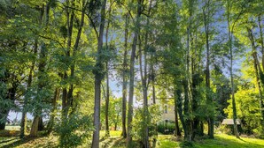 A forested area with tall trees and a building in the background. - Former Train Station With Private Heated Swimming Pool & Fantastic Garden (Liglet)