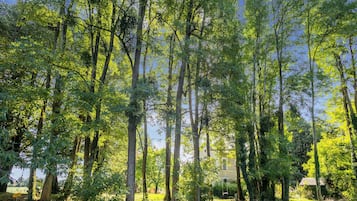 House | Garden