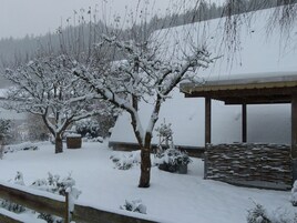 独立别墅 | 外观