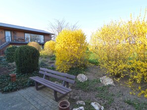 A wooden bench in a garden with yellow flowering bushes and a house in the background. - Farmhouse Escape in Morsdorf (Morsdorf)