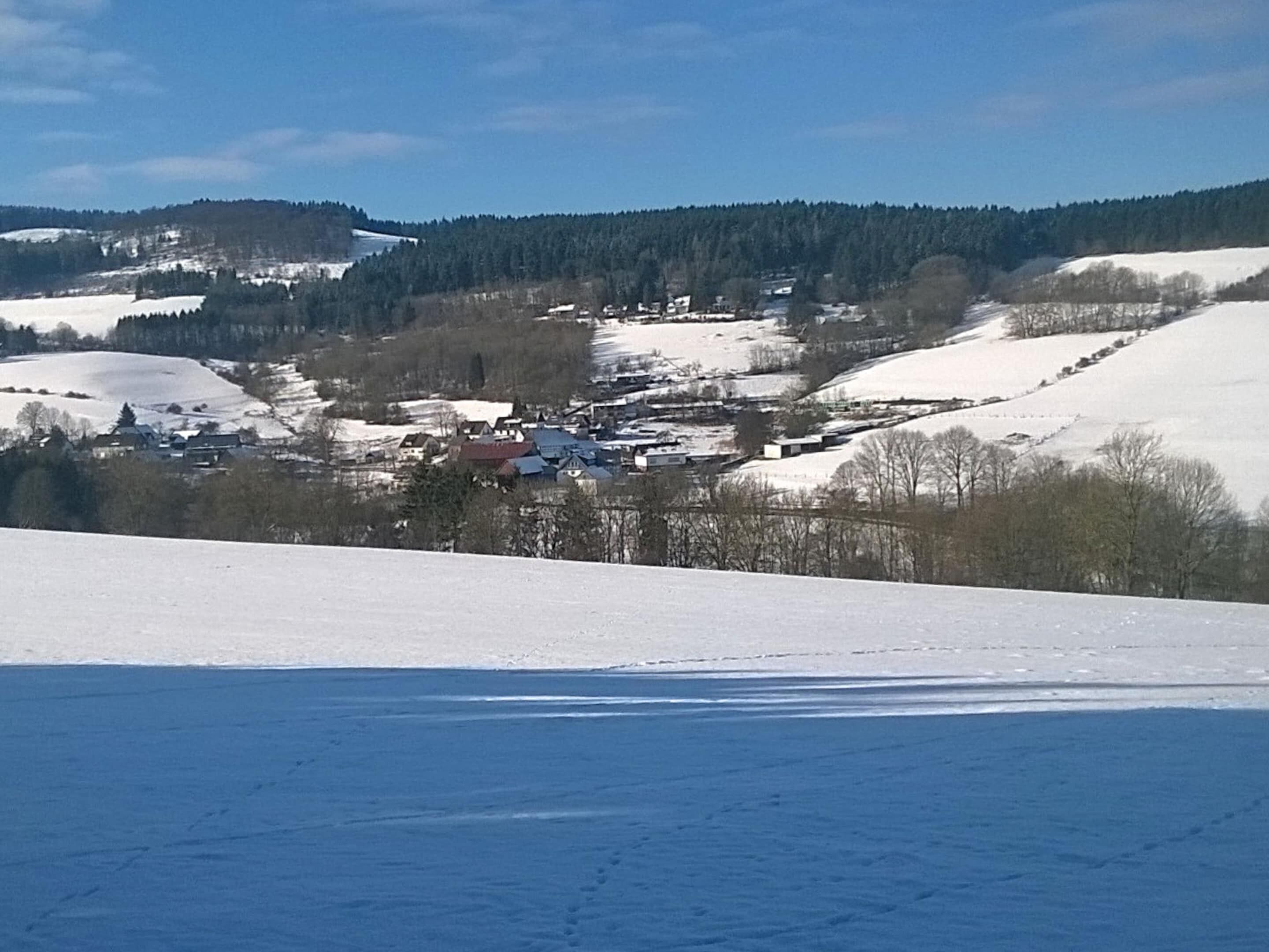 A snow-covered landscape with a small village and houses.