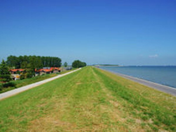 House | View from property