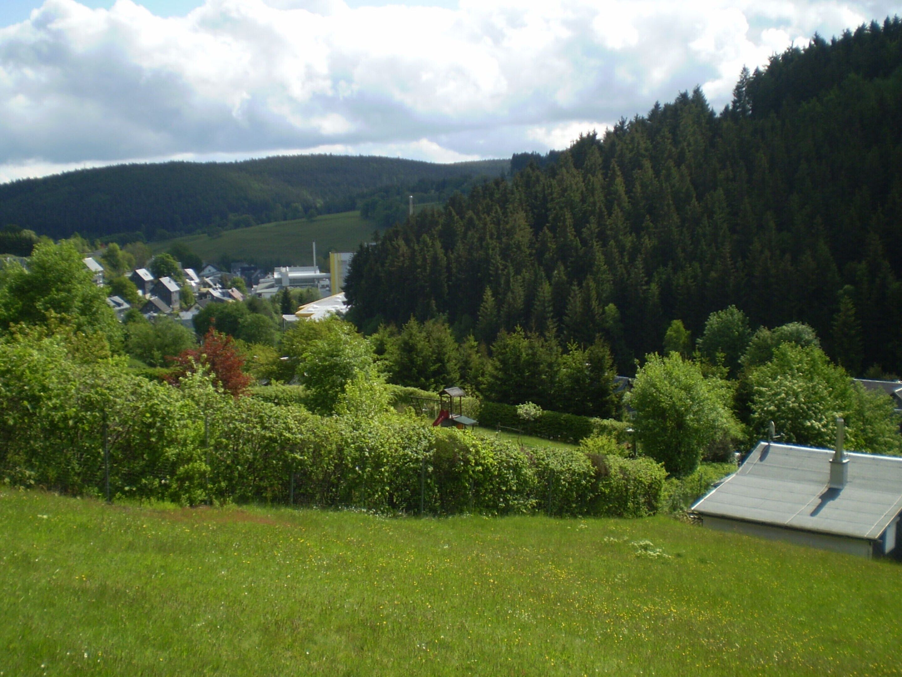 A rural landscape with a small village, dense forest, and a hill in the background.