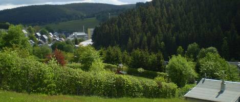 A rural landscape with a small village, dense forest, and a hill in the background.