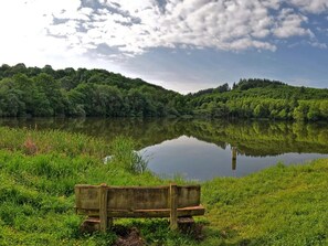 A wooden bench by a calm lake surrounded by lush greenery.