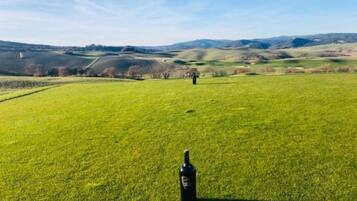 House | View from property