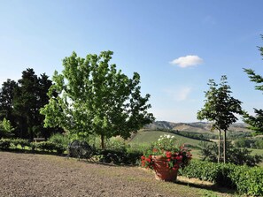 Ferienhaus | Außenbereich