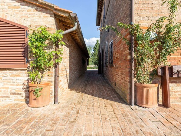 House | Exterior - Farmhouse in Buonconvento (Buonconvento)