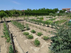 Apartment | Unterkunftsgelände