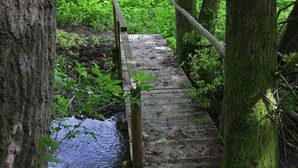 Un pont en bois enjambant un petit ruisseau dans une zone boisée.