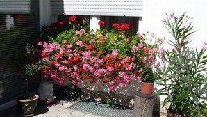 A garden with various potted plants and flowers, a metal grate, and a white building with shutters. - Graceful Apartment with Garden in Velmede near City Center (Bestwig)