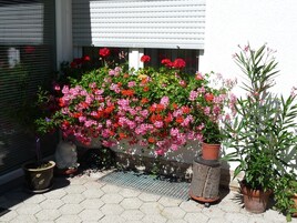 Apartment | Garden
