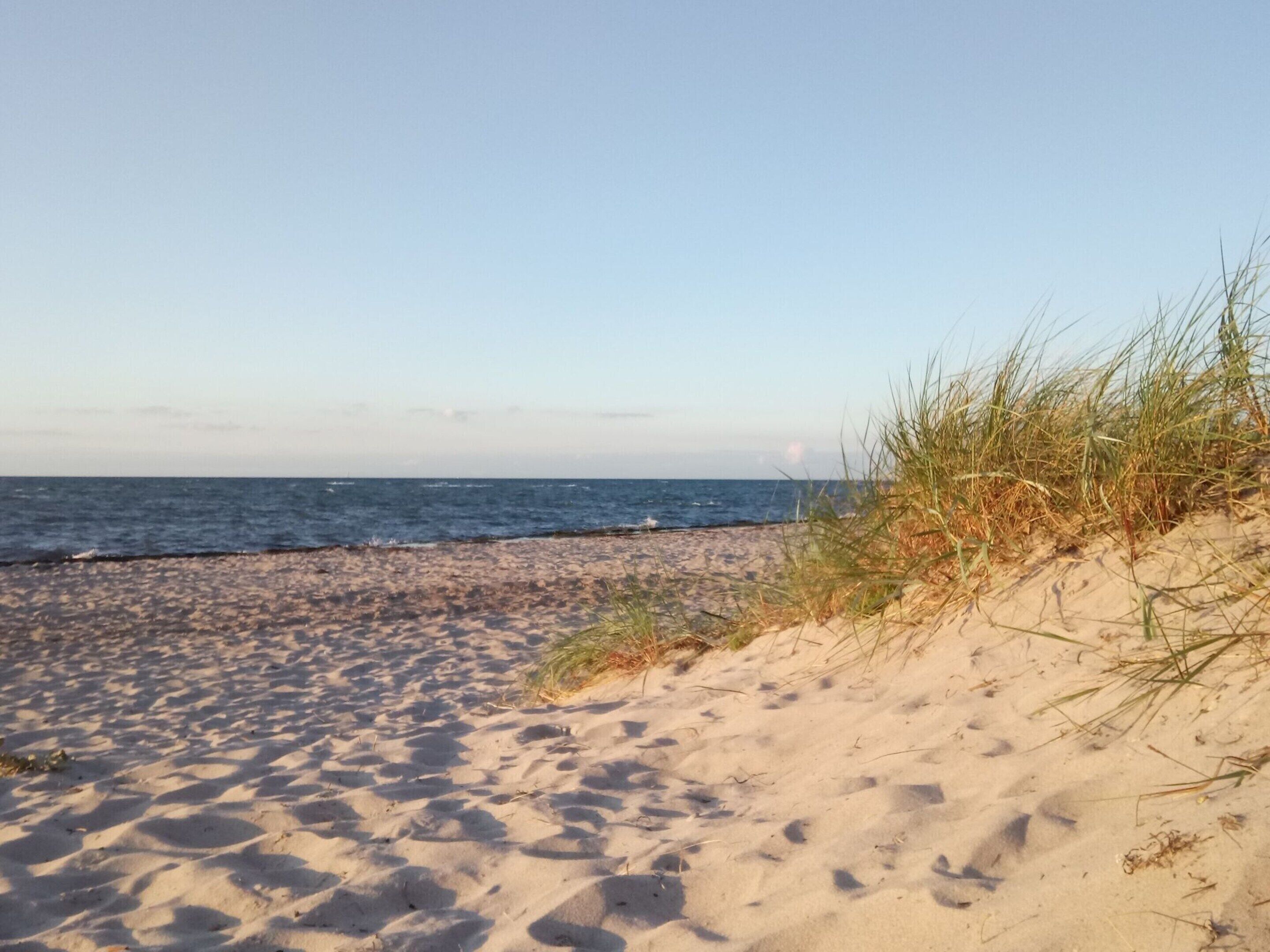Une plage de sable avec des vagues et de l’herbe au premier plan.