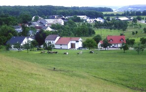 Apartment | View from property