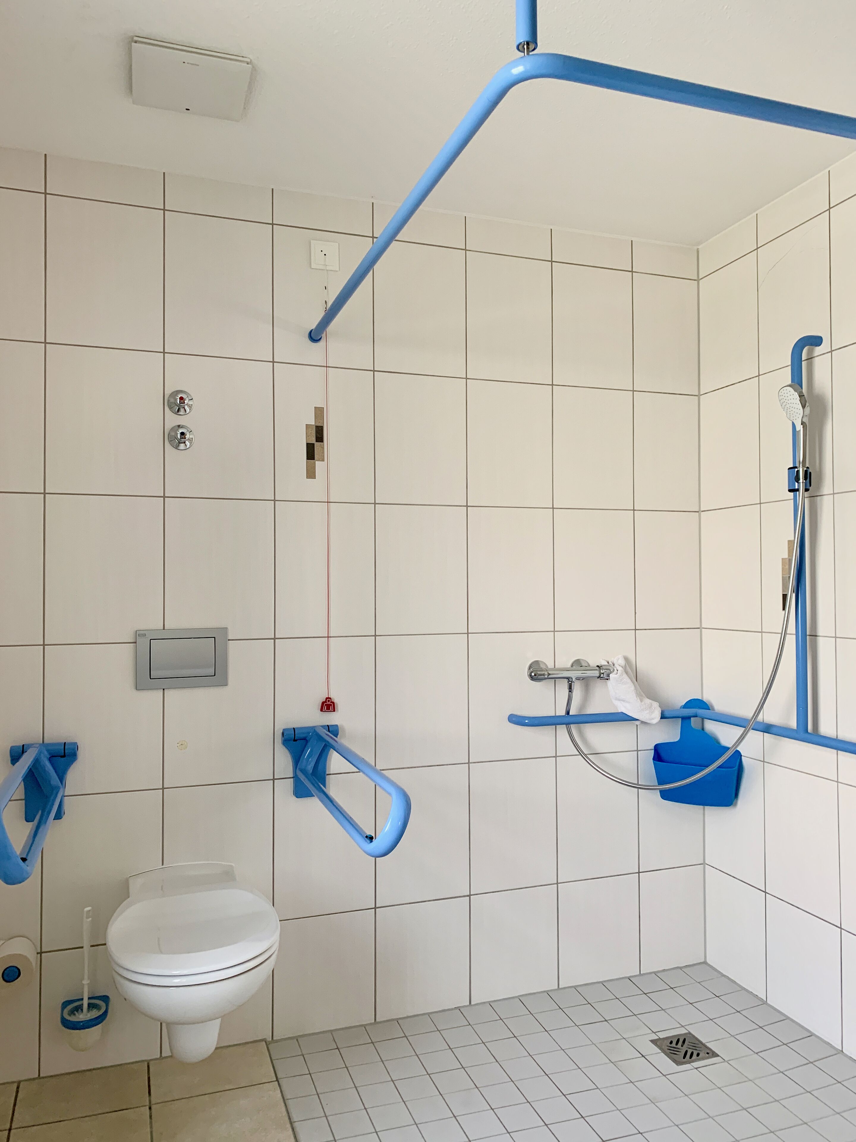 A modern bathroom with a toilet, grab bars, a shower with a handheld showerhead, and a towel rack.