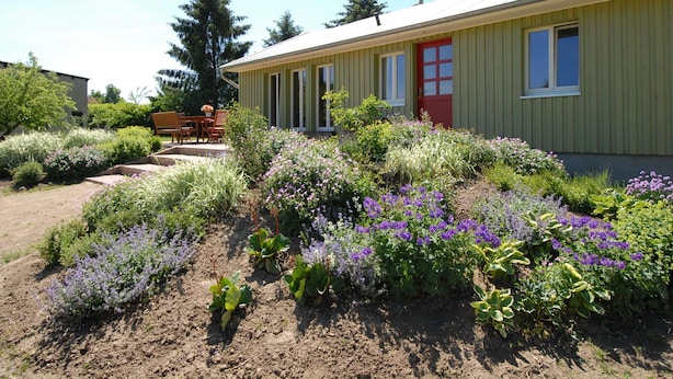 Ferienhaus | Außenbereich