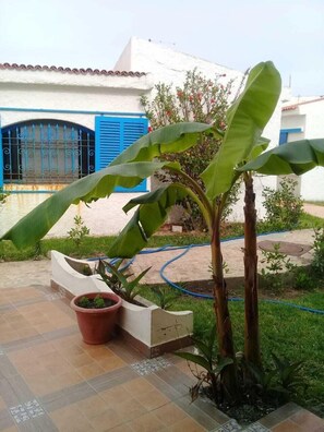 Garden - Fdw Chalet (Fnideq)