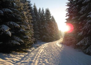 Chalet | View from property - Gemutliches Chalet in Rittersgrun in Waldnahe (Breitenbrunn/Erzgeb.)