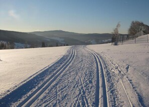 Chalet | View from property - Gemutliches Chalet in Rittersgrun in Waldnahe (Breitenbrunn/Erzgeb.)
