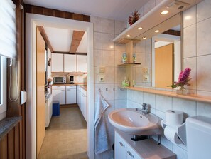 Chalet | Bathroom | Shower - Gemutliches Chalet in Rittersgrun in Waldnahe (Breitenbrunn/Erzgeb.)