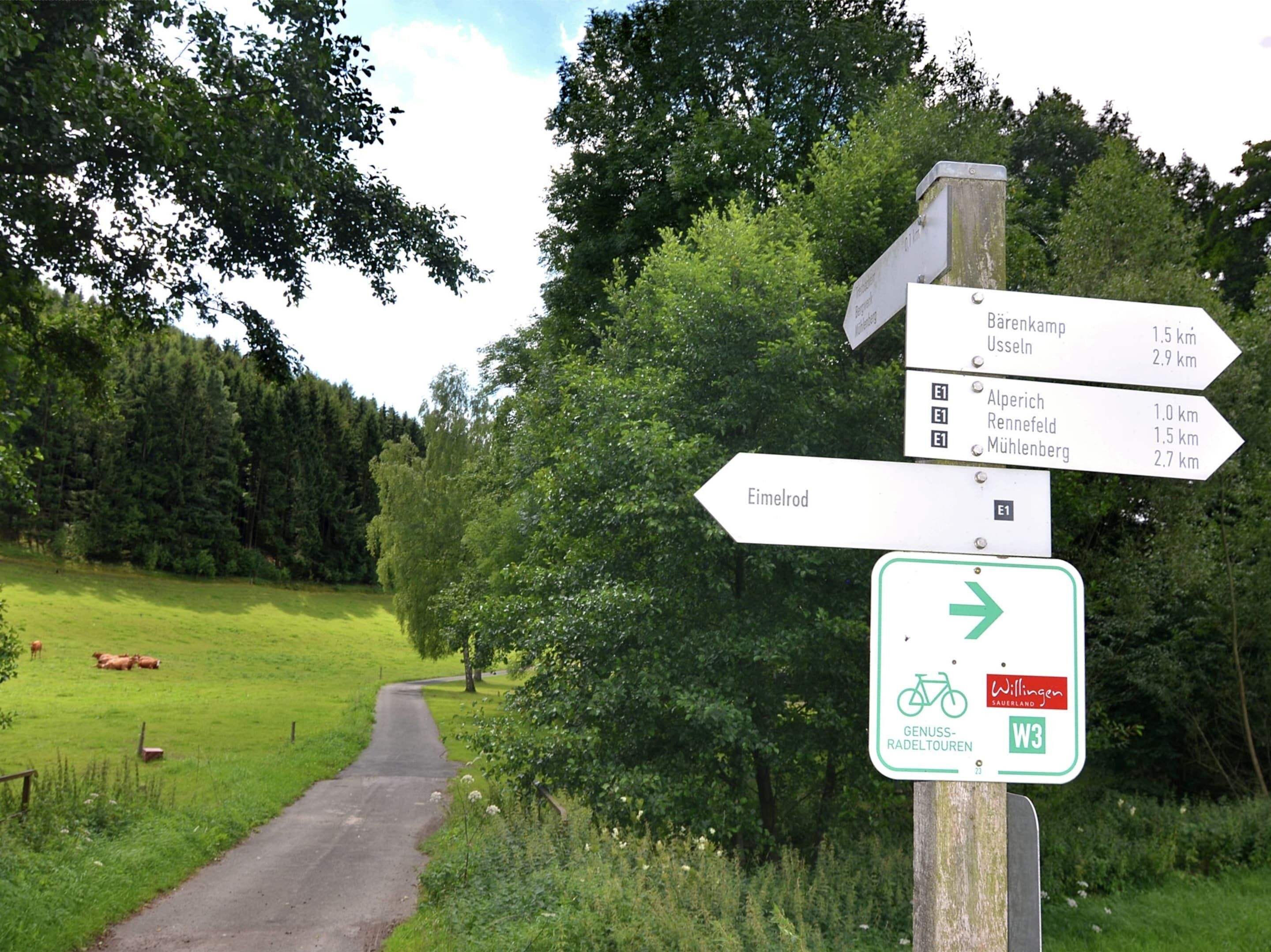 A directional signpost in a rural area with paths leading to various destinations.