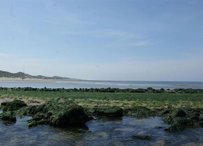 View from property - Stunning Apartment in Schoorl, North Holland, you can Bike to the Beach (Schoorl)
