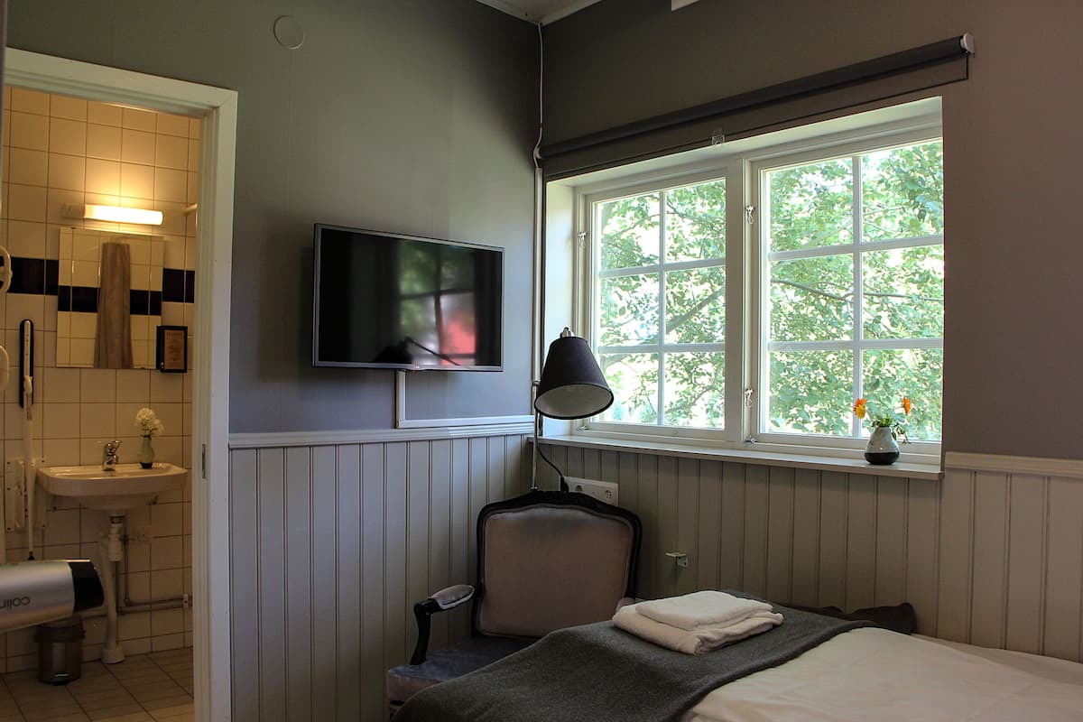 A hotel room with a bed, a TV, a chair, a window with a view of trees, a sink, and a mirror.