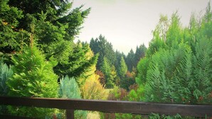 A wooden fence with dense greenery and trees in the background. - Holiday Home With Terrace (Stadlern)
