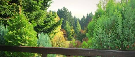 House | View from property