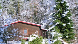 A cabin with a red roof, surrounded by snow-covered trees and a clear path leading to the entrance. - Holiday Home With Terrace (Stadlern)