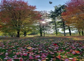 Villa | View from property - Spacious Villa in La Roche en Ardenne (La Roche-en-Ardenne)