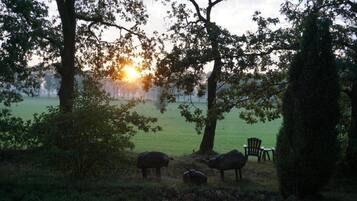 Apartemen | Pemandangan dari properti