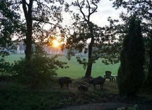 Apartment | Pemandangan dari hartanah