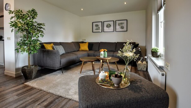 A modern living room with a sectional sofa, a coffee table, a side table with decorative items, a large plant, and framed artwork on the wall. - Apartment in Eibergen Near Zwillbrocker Venn (Eibergen)