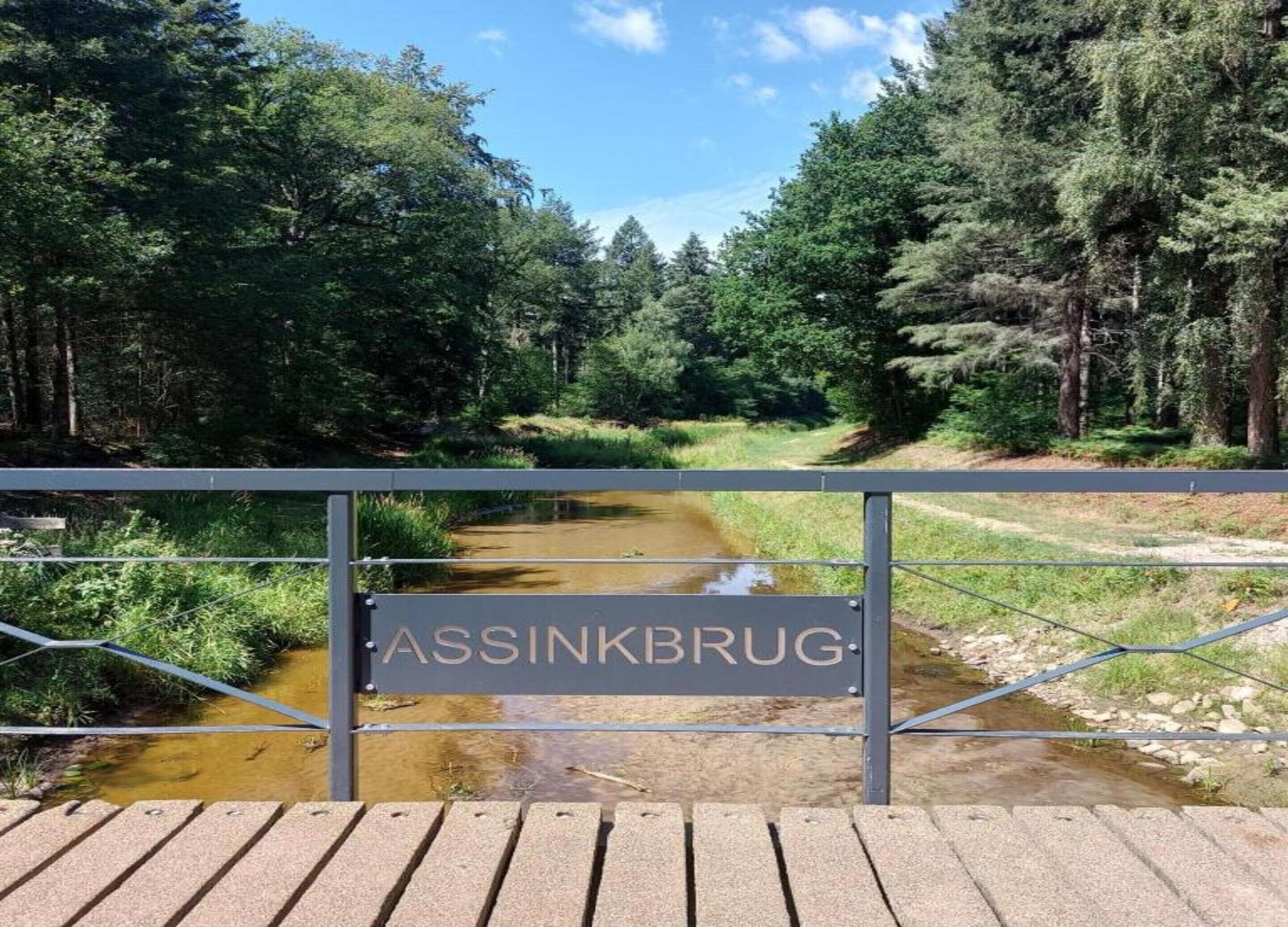 En metalport med inskriften "ASSINKBRUG" i et naturskønt område med en flod og tæt bevoksning.