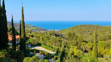Un paisaje costero con una casa rodeada de cipreses y vista al mar.