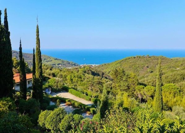 A coastal landscape with a house surrounded by cypress trees and a view of the sea. - Belvilla by Oyo Sorano (Sorano)