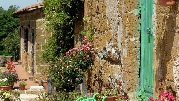 A rustic stone building with a green door, surrounded by potted plants and flowers. - Belvilla by Oyo Sorano (Sorano)