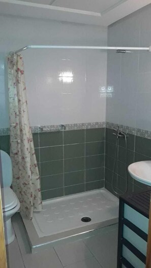 Apartment | Bathroom | Shower, towels, toilet paper